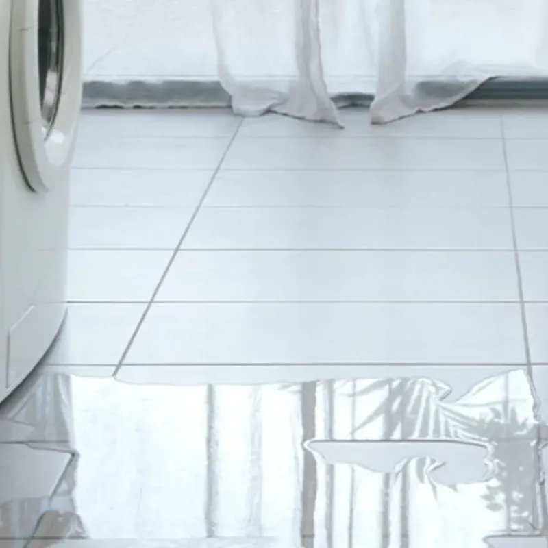 Appliance Leak Cleanup in Coburg, OR