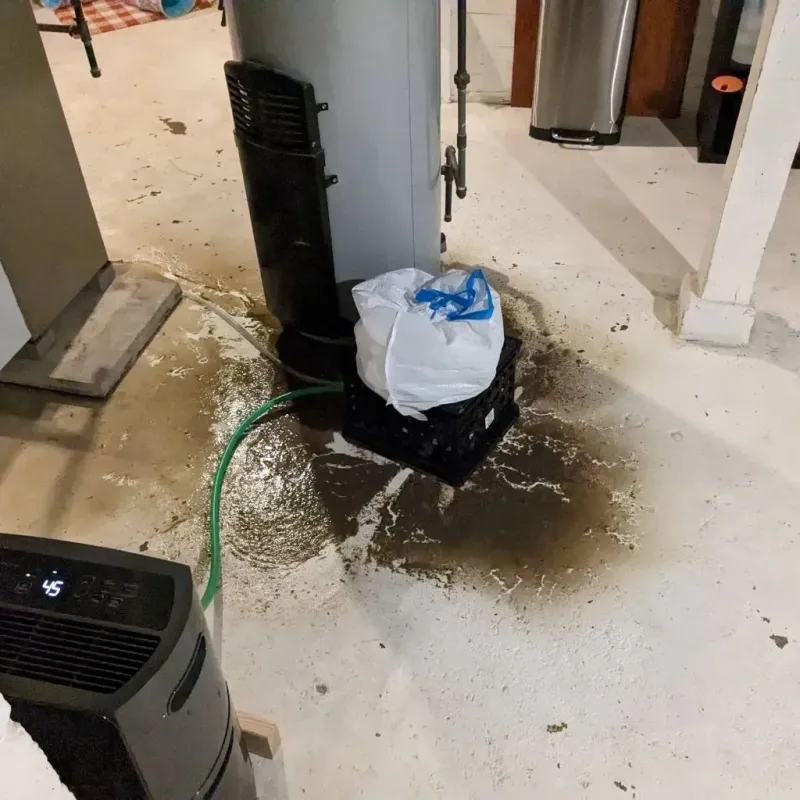 Sewage Backup Cleanup Service in Coburg, OR